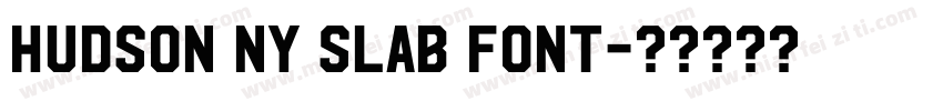 Hudson NY Slab font字体转换